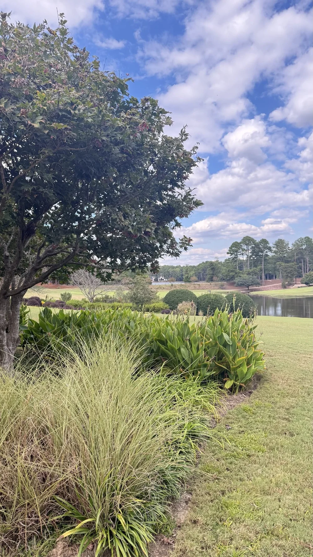 Landscaped fairway and pond in a golf community in Southern Pines, NC
