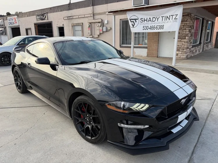 Black Ford Mustang GT with white stripes and window tint, Shady Tintz, Yuba City