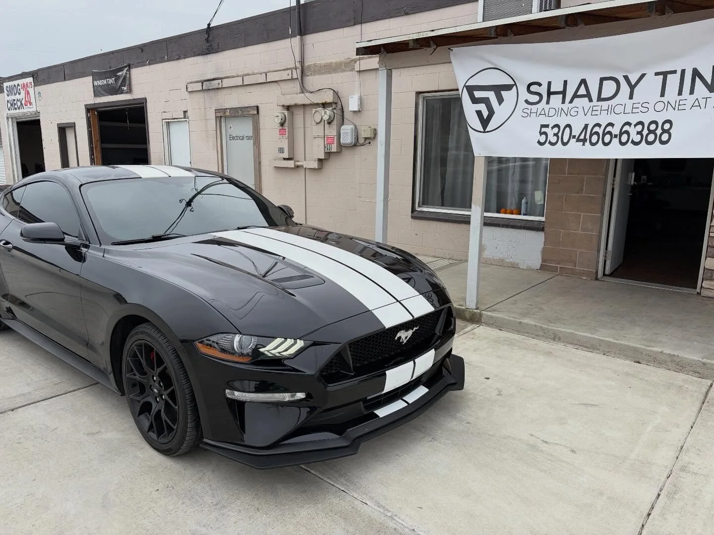 Black Ford Mustang GT with window tint in front of the Shady Tintz banner, Yuba City