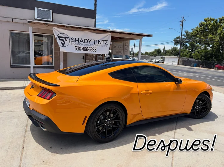 Orange Ford Mustang rear three-quarter view after window tint, Shady Tintz, Yuba City