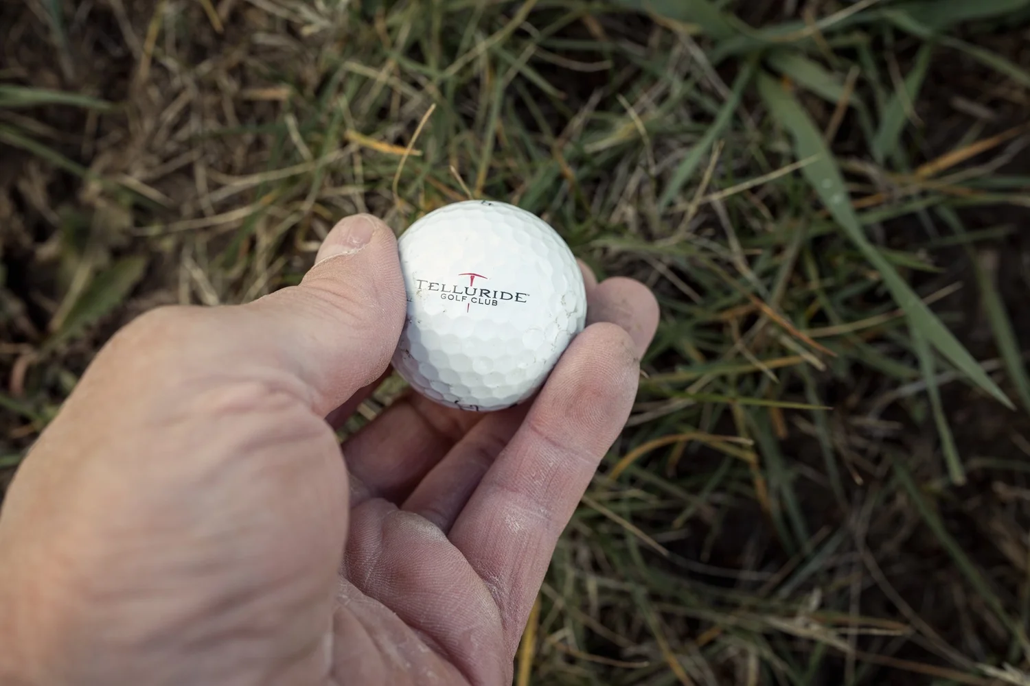 A hand holds a used Telluride Golf Club ball above the grass.