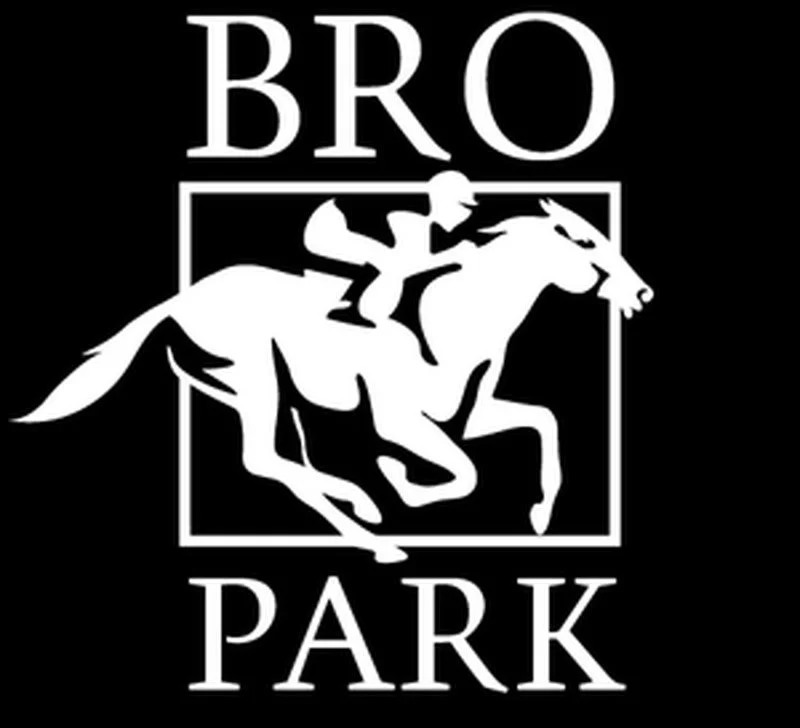 Bro Park