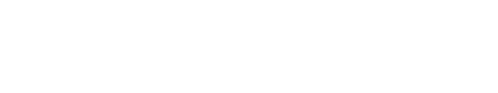 Positive Grid Logo