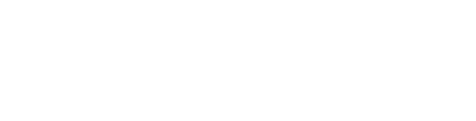 Logo Dunlop