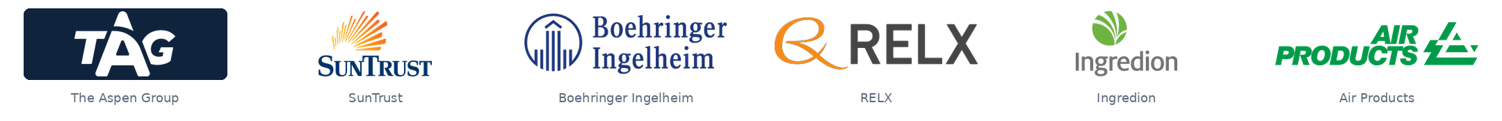 The Aspen Group, SunTrust, Boehringer Ingelheim, RELX, Ingredion, Air Products