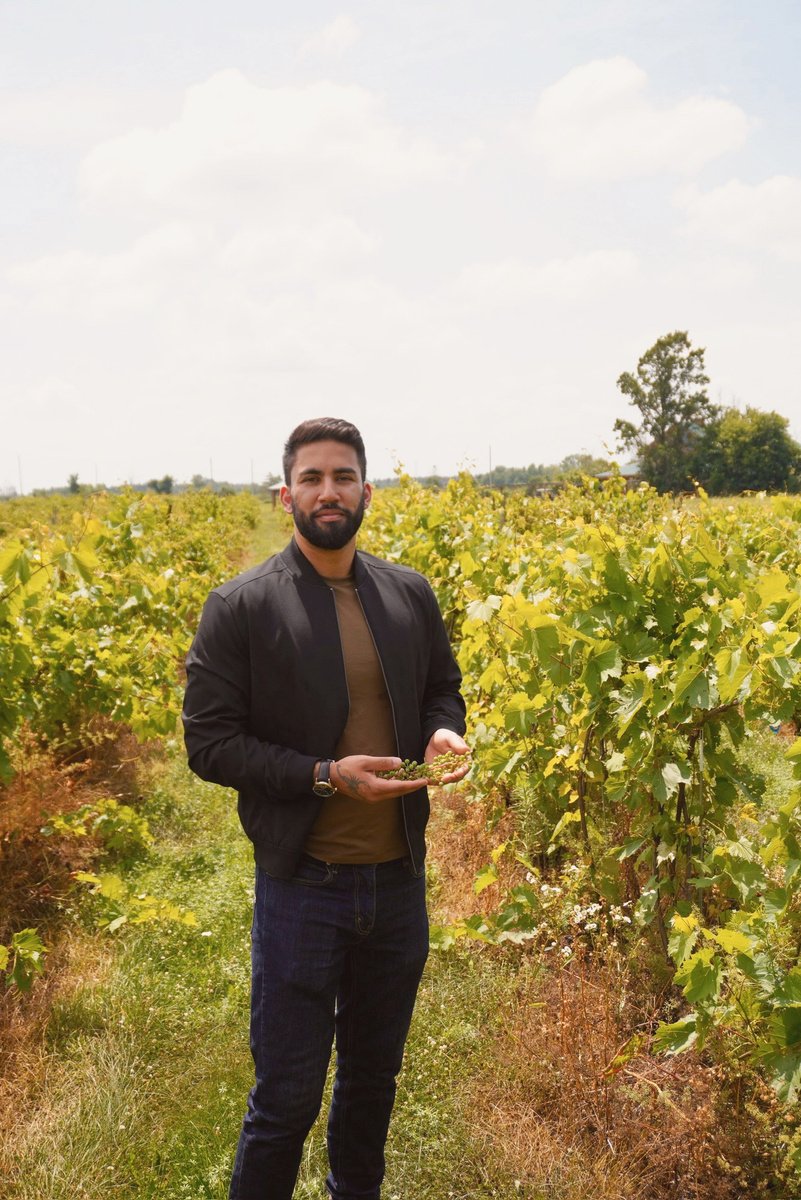 Ray holding freshly picked grapes among the vineyard rows