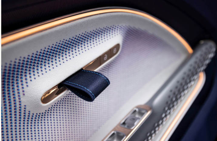 Supplied automotive reference showing textured door trim and a blue fabric pull
