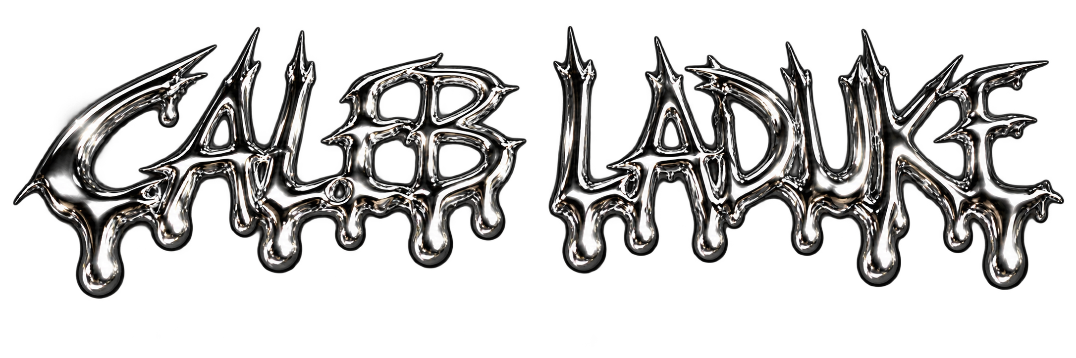 Caleb LaDuke