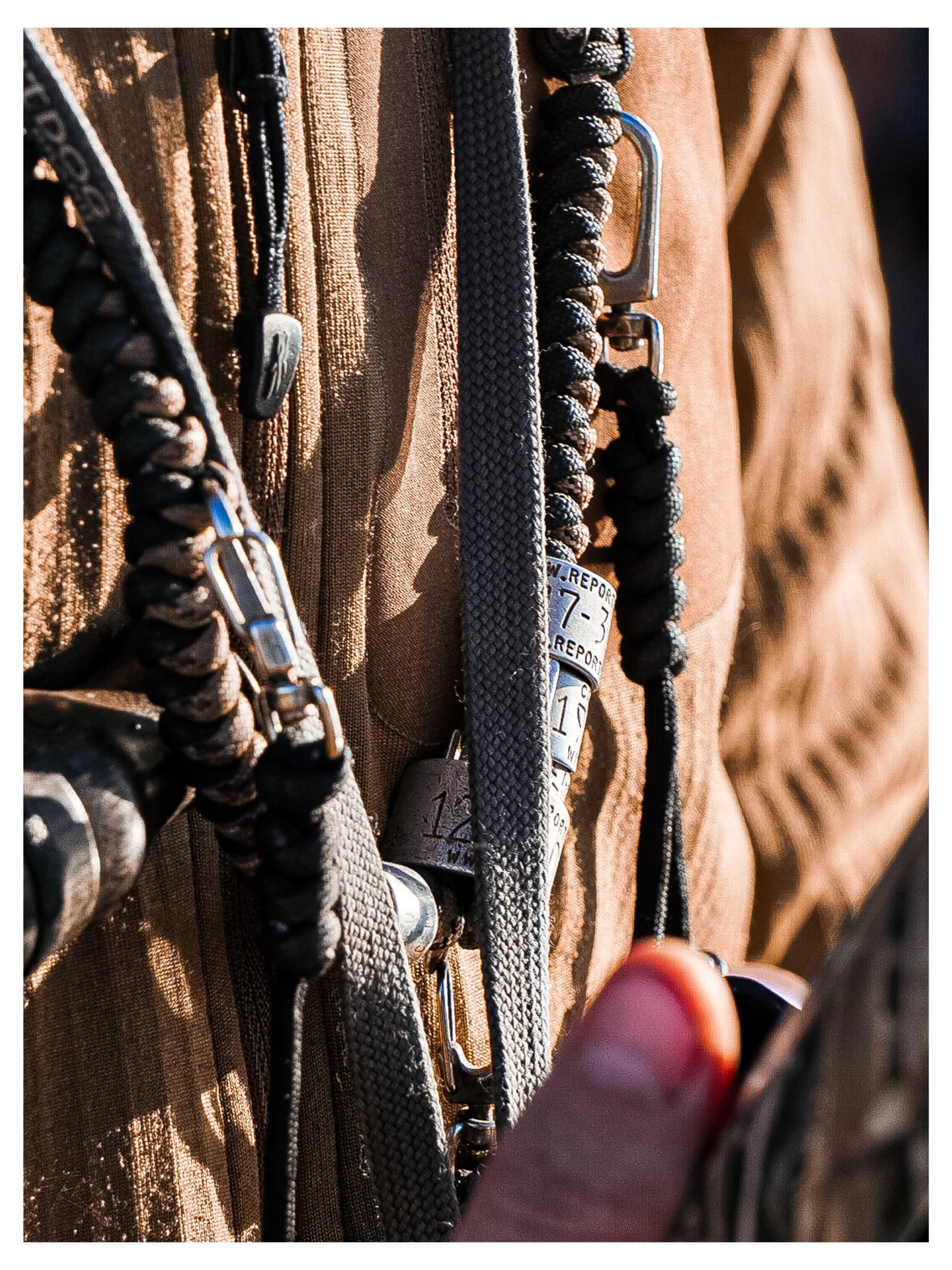 Beaver County Outfitters waterfowl hunt