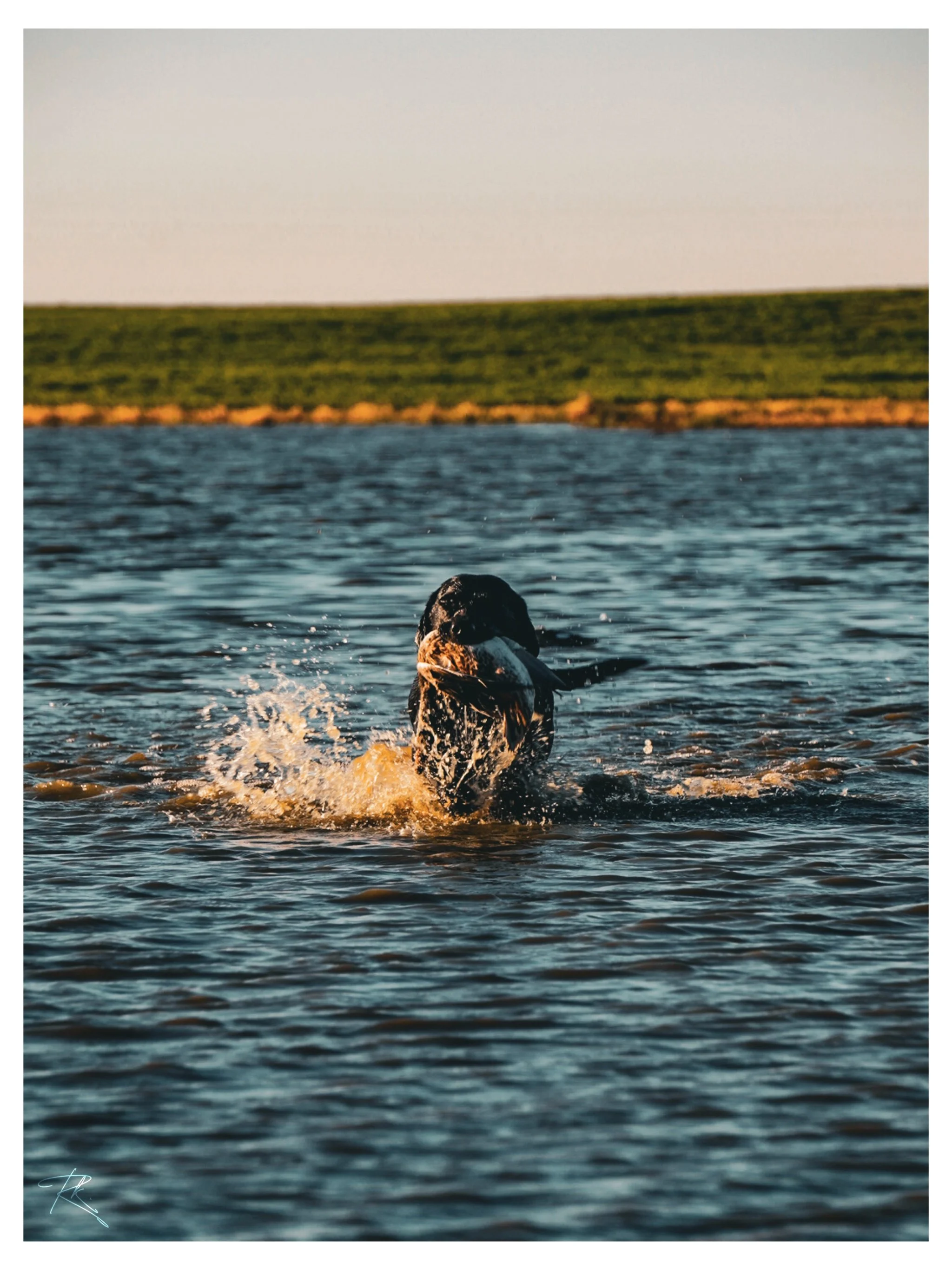 Beaver County Outfitters waterfowl hunt