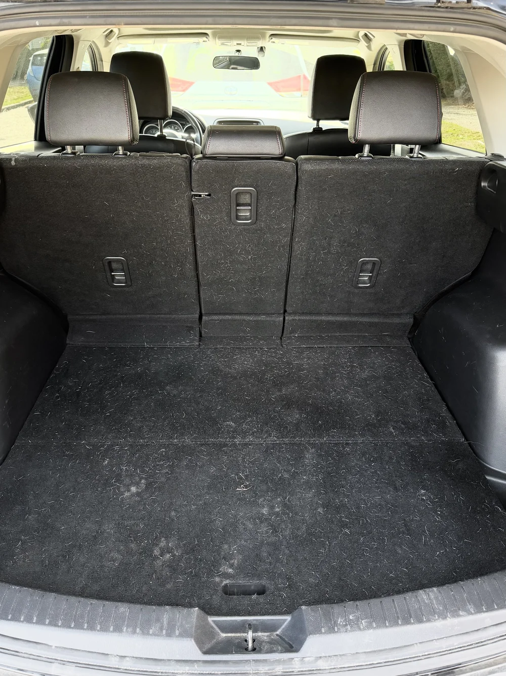 Trunk carpet covered in pet hair before detailing