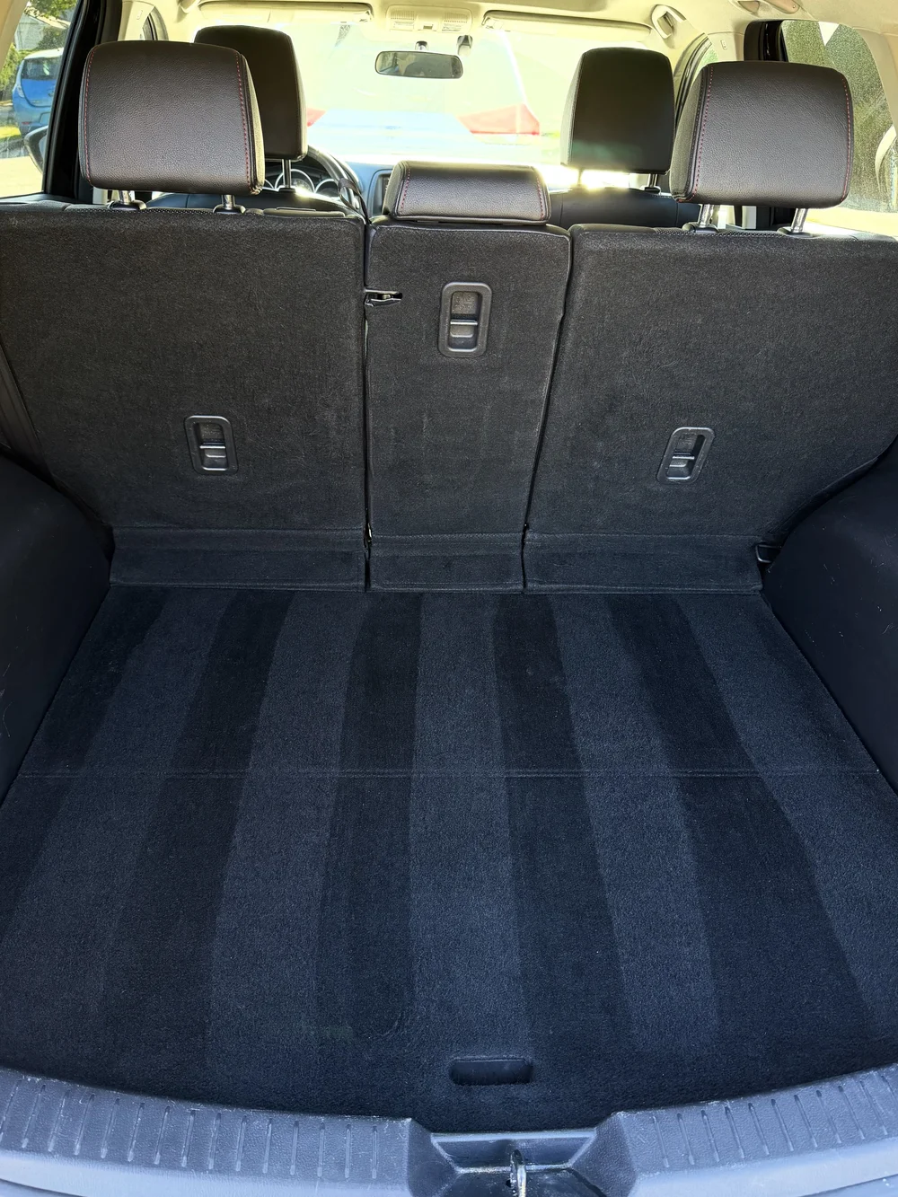 Clean trunk carpet after pet hair removal