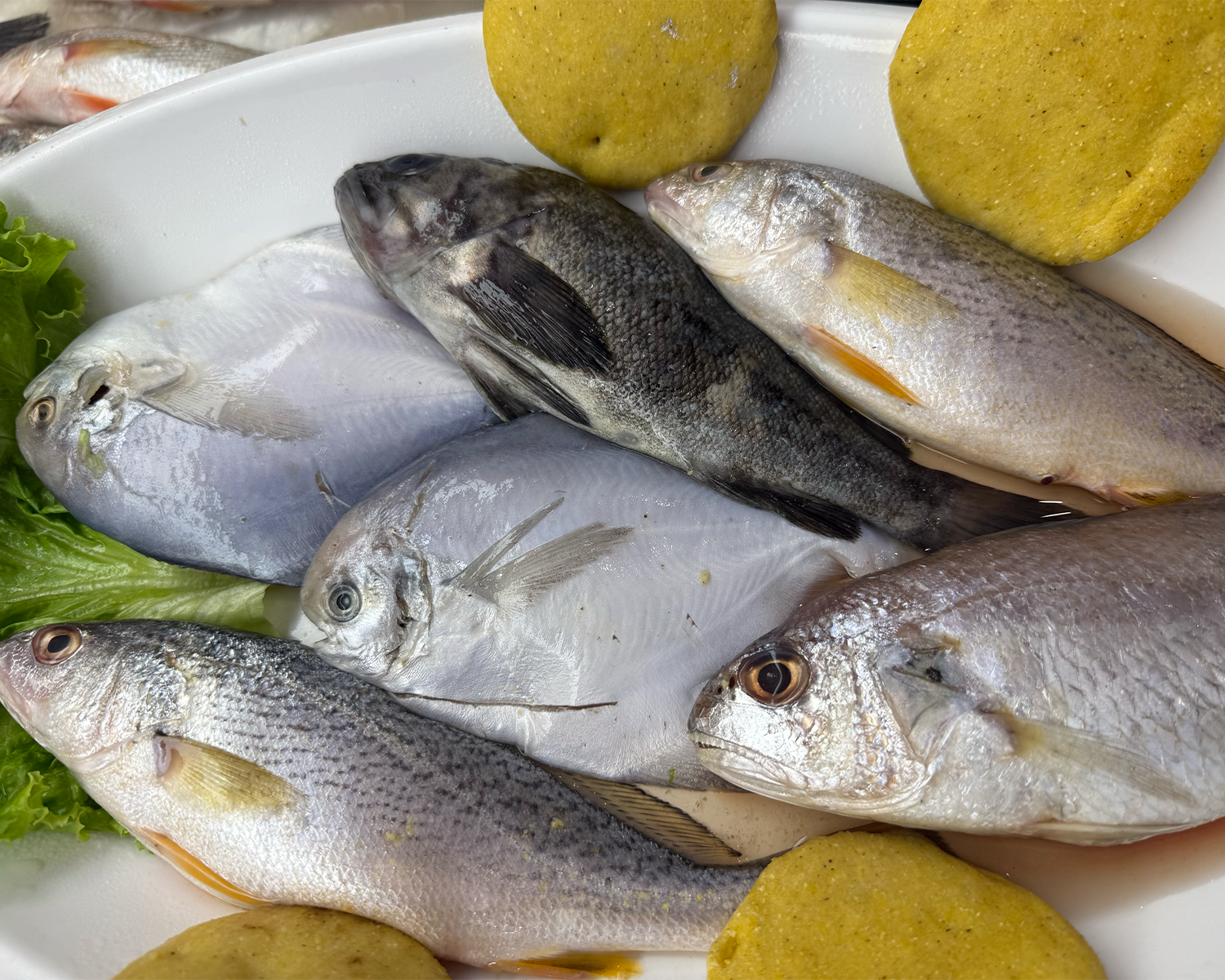 Fish selection