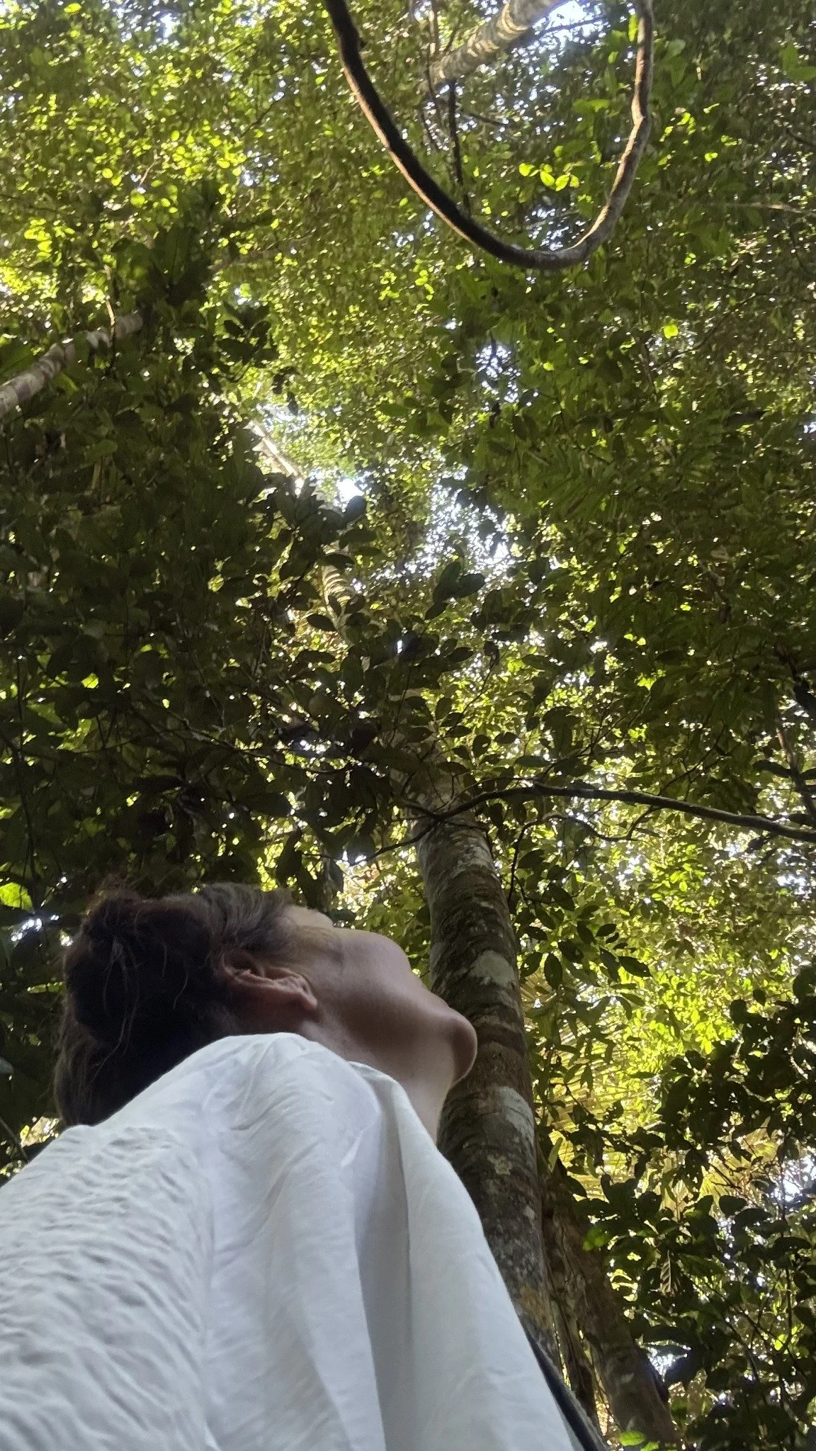 Avi in the Peruvian Amazon