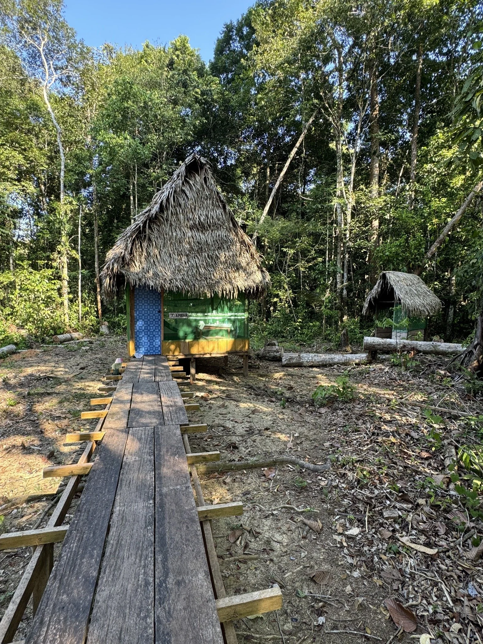 Dieta tambo accommodation in the Peruvian Amazon