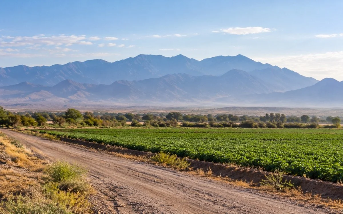 Cultivated green fields beside a dirt access road with hazy mountains beyond.