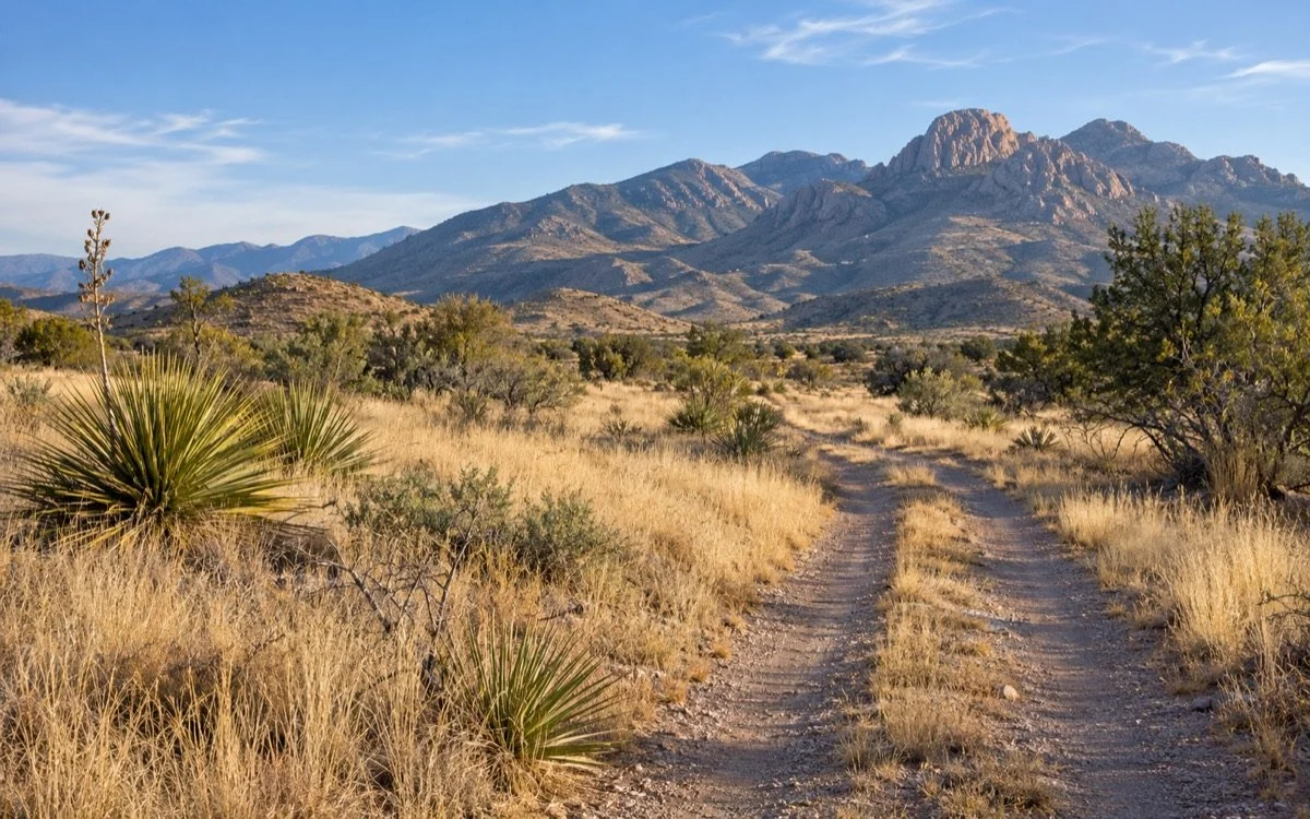 A narrow dirt track through golden grasses and yucca toward rugged mountains.