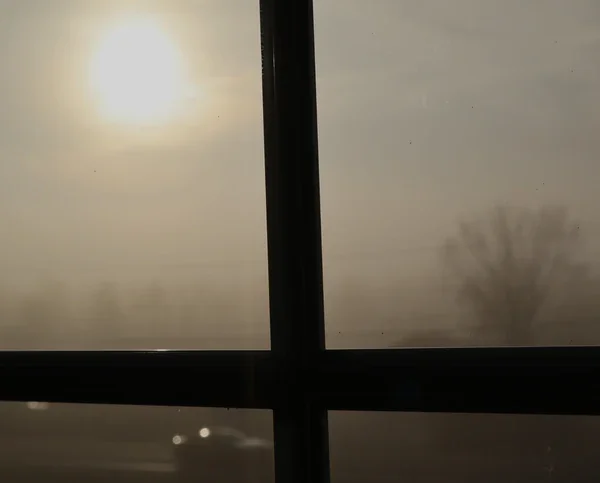 Sun and a distant tree seen through fogged window glass divided by dark window framing.