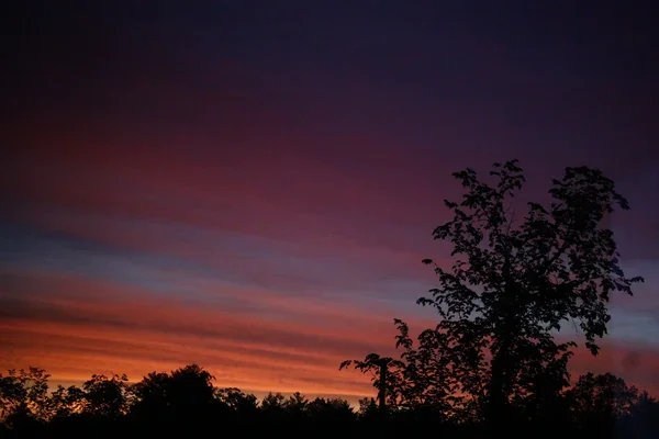 A tree silhouetted against an orange, pink and purple evening sky.