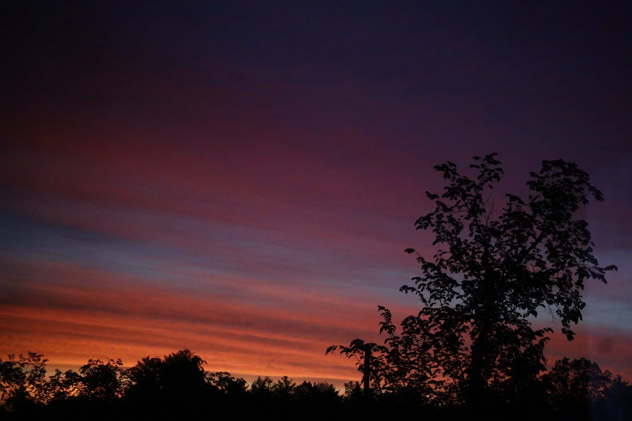 A tree silhouetted against an orange, pink and purple evening sky.