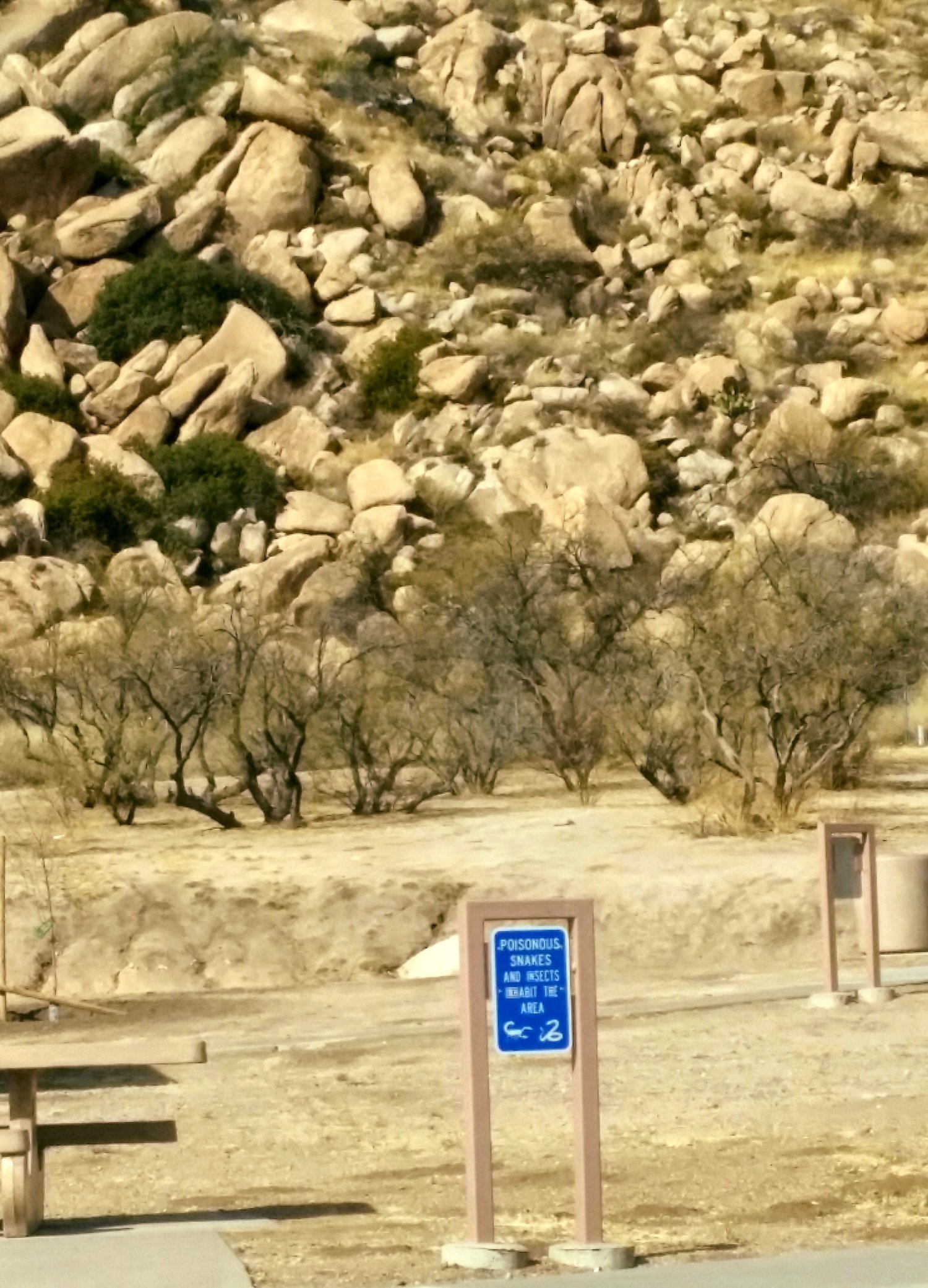 Blue rest stop sign warning that poisonous snakes and insects inhabit the area, with boulder-covered desert hills behind it.