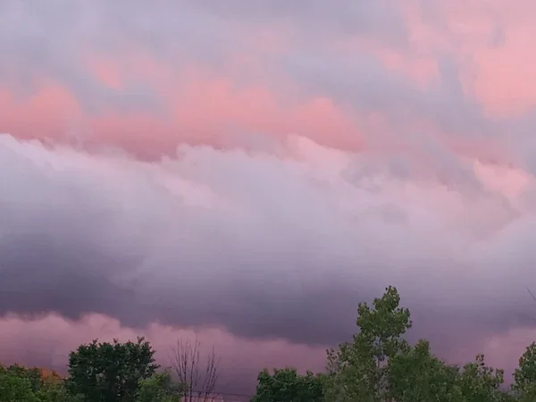 A broad gray cloud hangs above treetops beneath pink clouds.