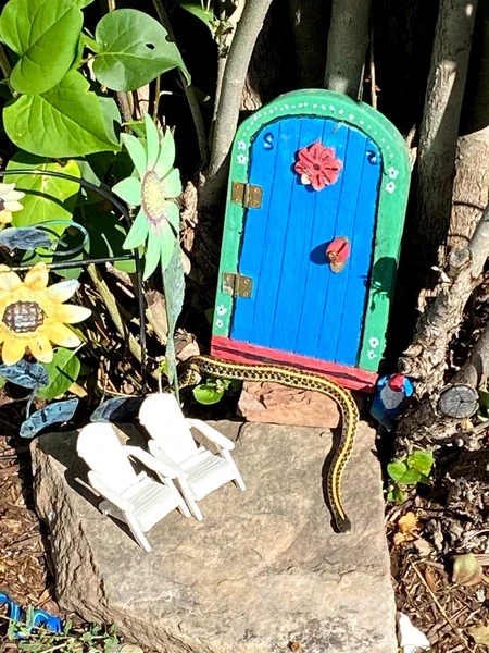 A slender snake lies across a stone in front of a blue decorative fairy door.