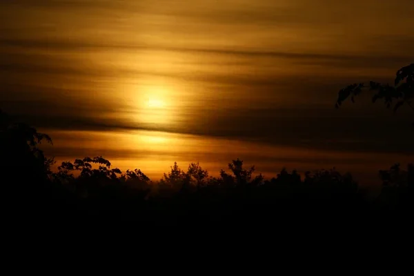 Golden sunlight shines through horizontal clouds above silhouetted trees.