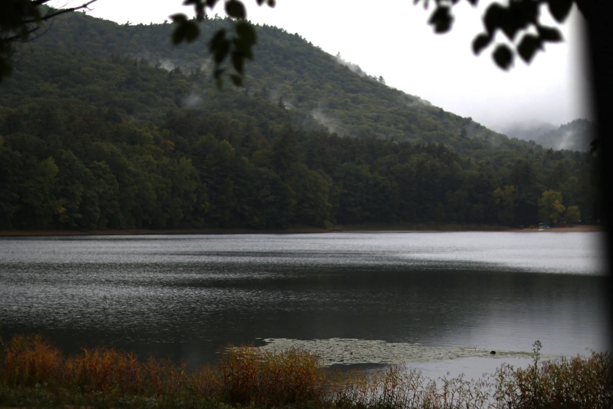 Misty forested mountain beyond a quiet lake, with autumn colors along the shoreline and dark branches framing the view.