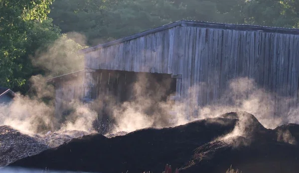 Sunlit steam rises from dark compost piles beside a wooden building.