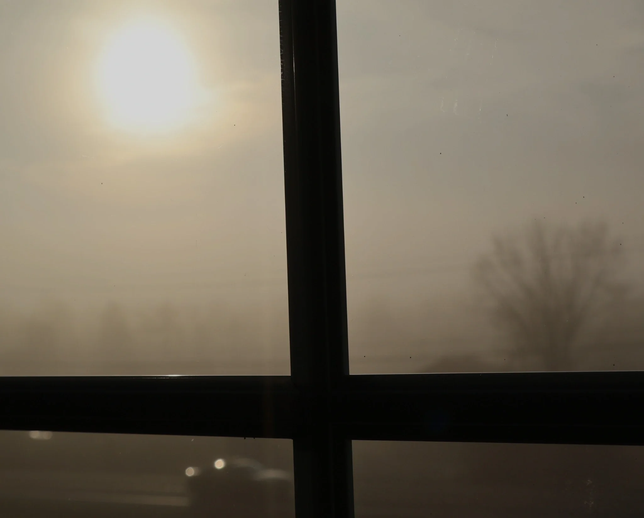 Sun and a distant tree seen through fogged window glass divided by dark window framing.