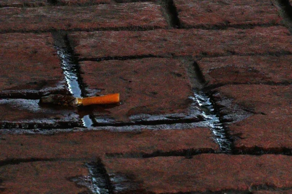 A discarded cigarette butt lying across wet, weathered red brick pavers.