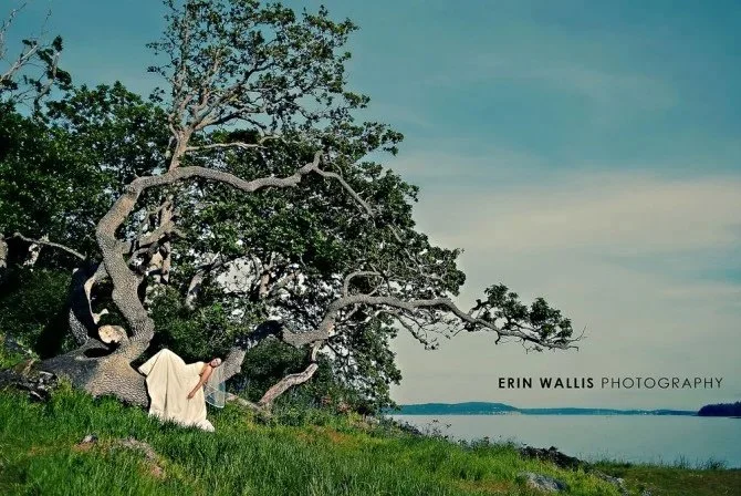 in the tree in the tree