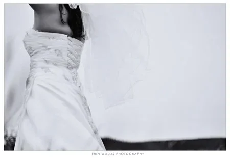 wind in veil
