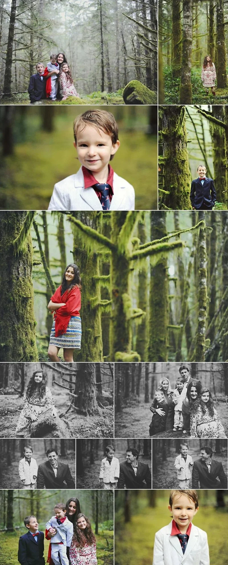 forest family