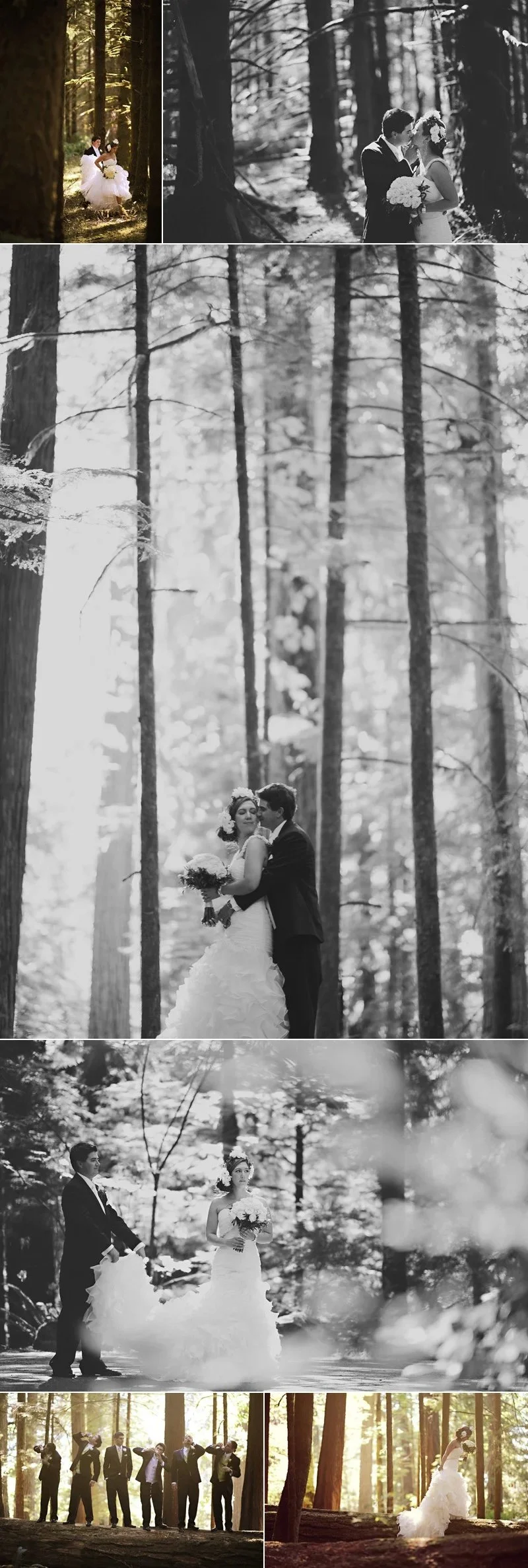 forest_wedding