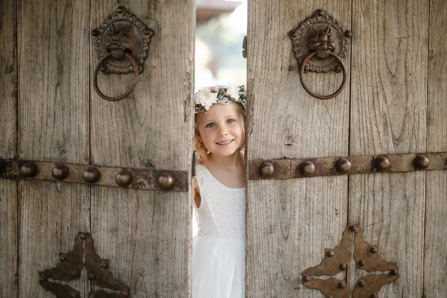 Charlie peeking through old wooden doors