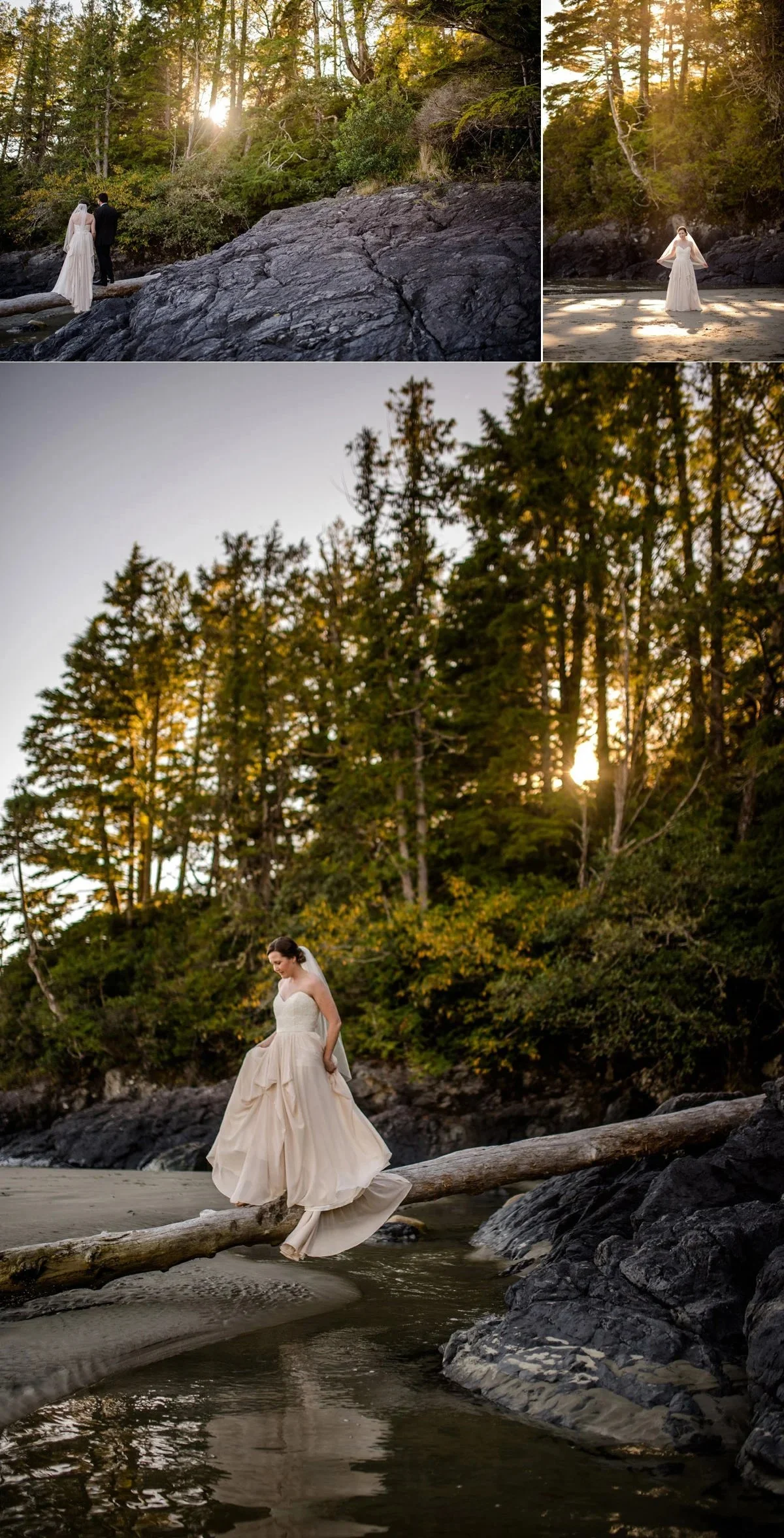 bridal dreams