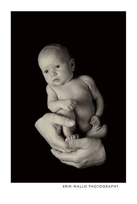 baby in hands studio black and white of newborn