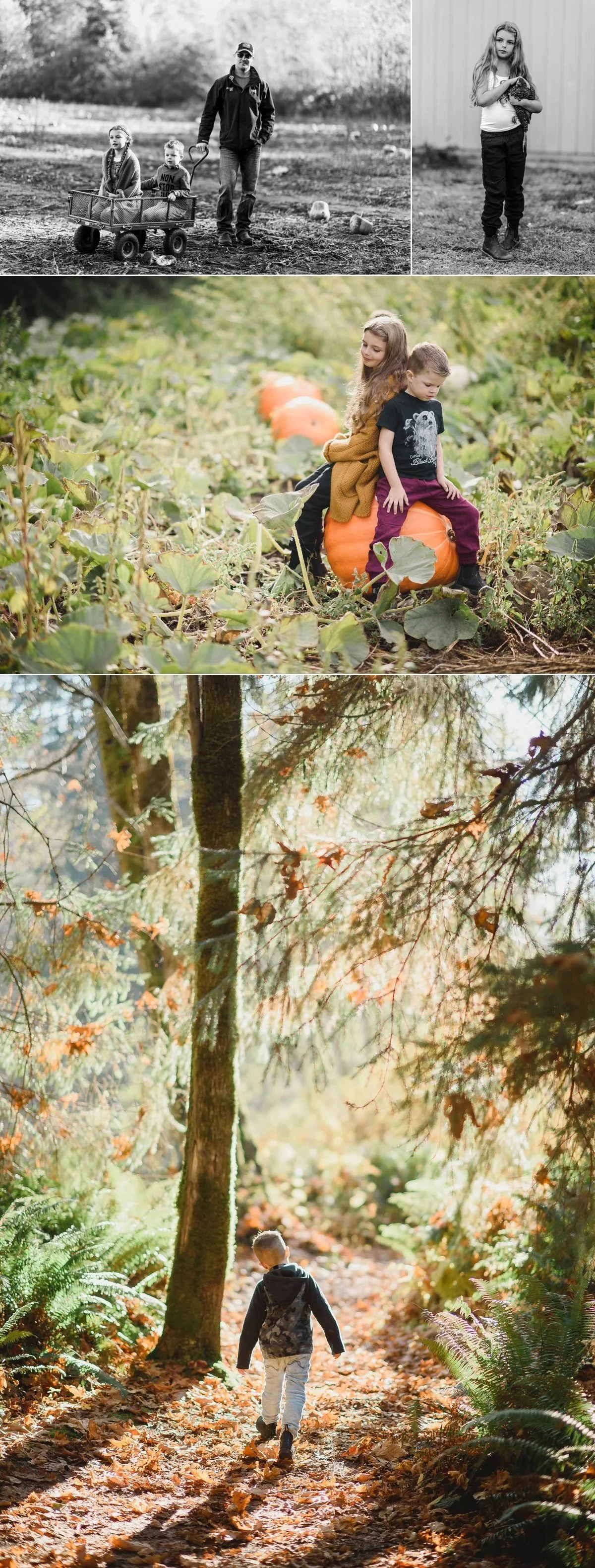 family photos fall