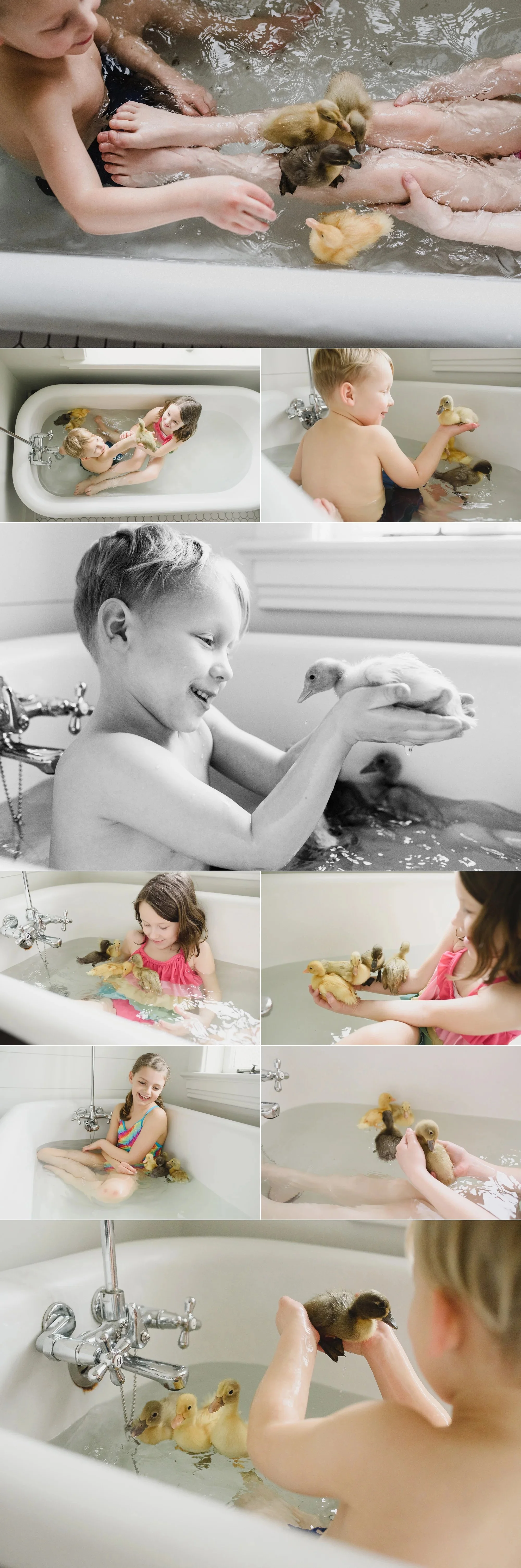 ducklings in a bath