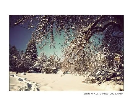 Snow covered