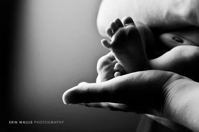 Fosters toes