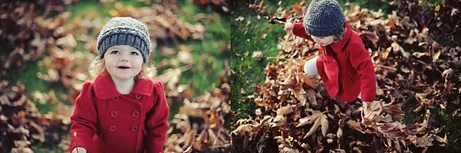leaves and love