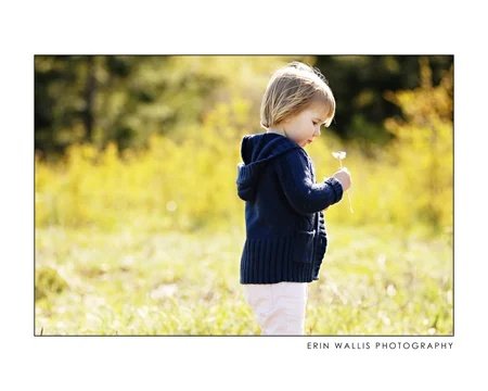 little girl and flower little girl looking at flowers