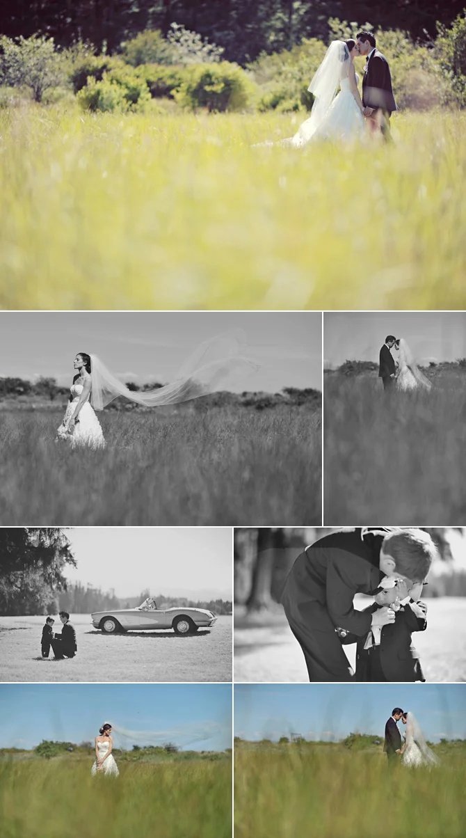 Bride and Groom