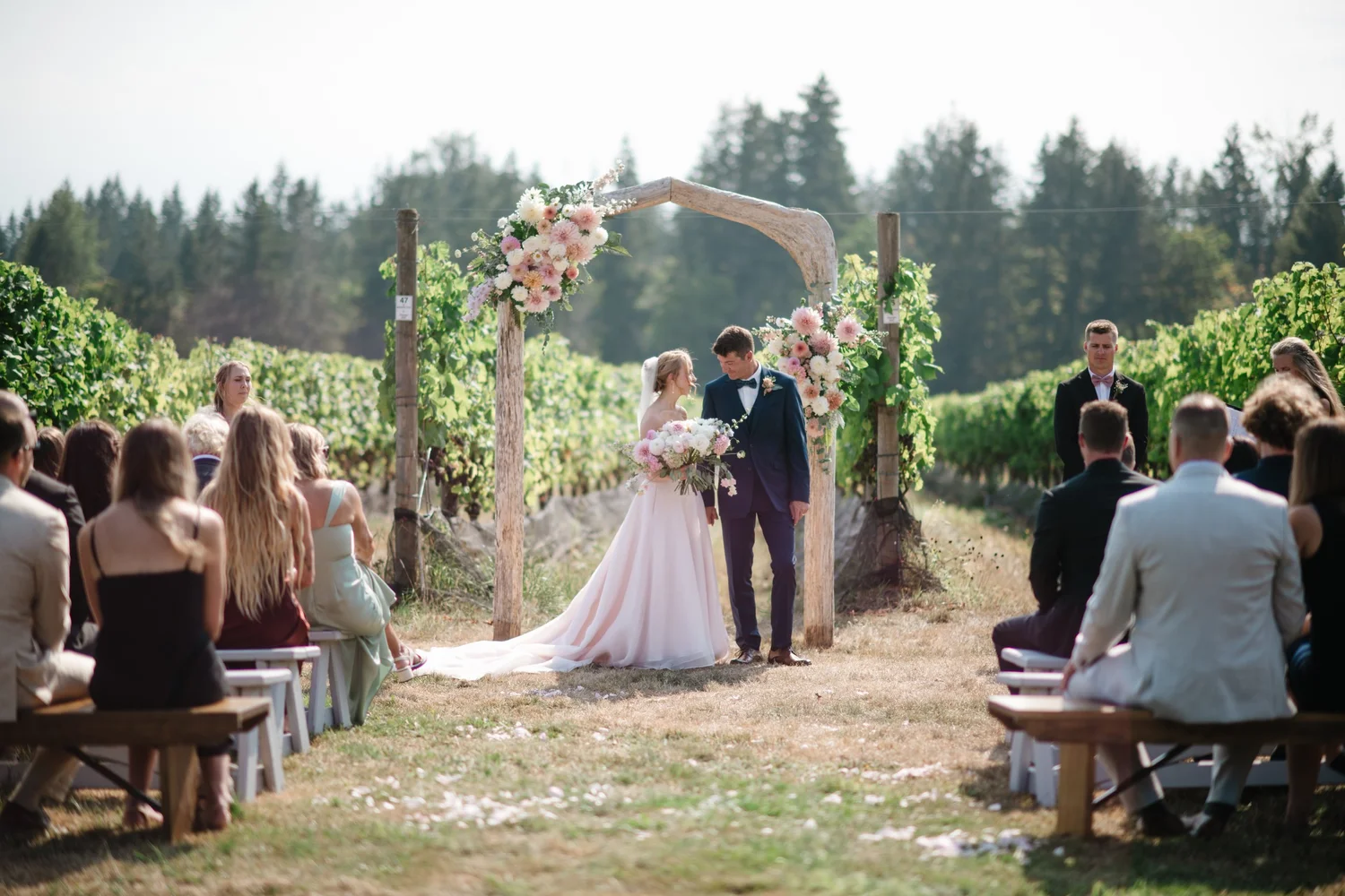 Guests gathered among the vines for the ceremony