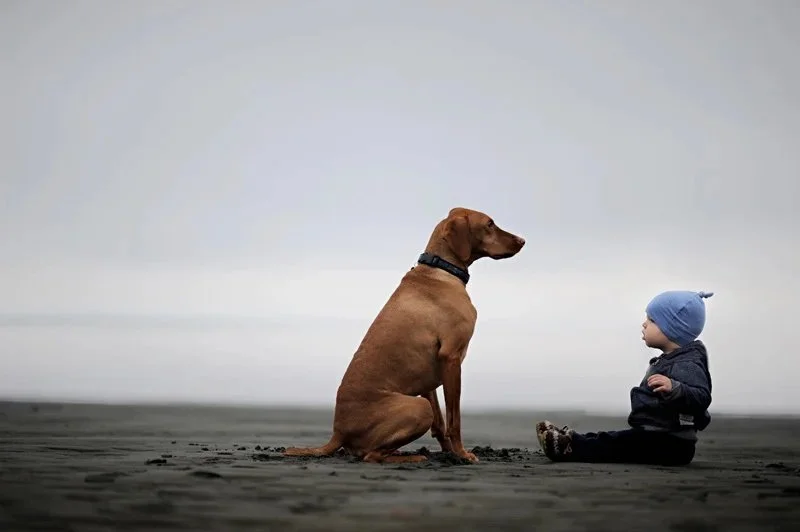 baby and dog.jpg