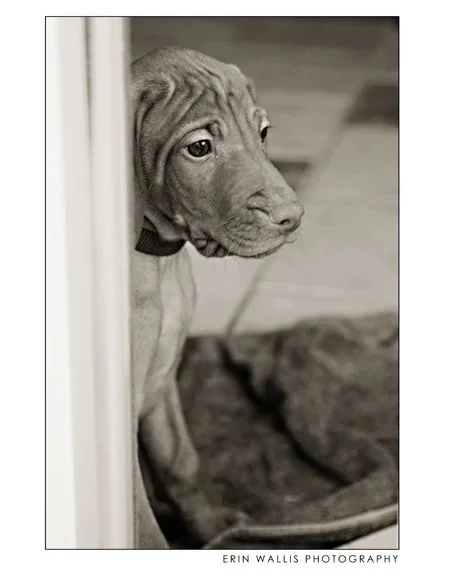 Looking out