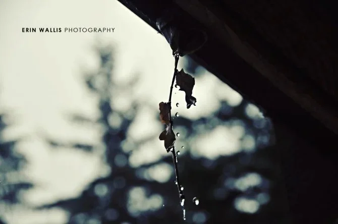 rain